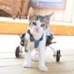 Profile image of Rockyonwheels
