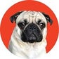 Profile image of Shaq The Pug