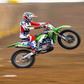 Profile image of Ryder difrancesco