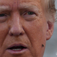 Profile image of The Fly on Donald Trump’s Face