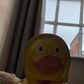 Profile image of George the Duck