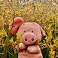 Profile image of Wibbs The Pig