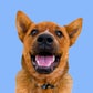 Profile image of April & Winnie