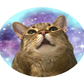 Profile image of Moosh
