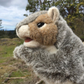 Profile image of Squirrel Dialogues