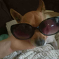 Profile image of Chelsea Robinson