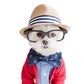 Profile image of Toby Little Dude