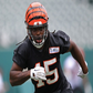 Profile image of Malik Jefferson