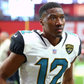 Profile image of Dede Westbrook