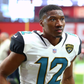 Profile image of Dede Westbrook