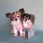 Profile image of The Lil Gremlins