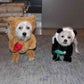 Profile image of Biggy&Smallz