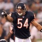 Profile image of Brian Urlacher