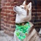 Profile image of Banner The Super Dog