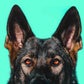 Profile image of Jade, Jasper, Jet & Potato