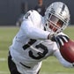 Profile image of ArDarius Stewart