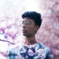 Profile image of JR Alli