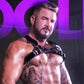 Profile image of Dolf Dietrich