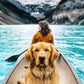 Profile image of Aspen the Mountain Pup