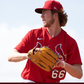 Profile image of Matthew Liberatore