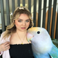Profile image of Prince the Bird & Tamia