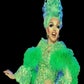 Profile image of Miss Dixie Swallows