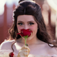 Profile image of Belle/ Cinderella