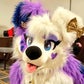 Profile image of Galaxie Collie