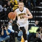 Profile image of Mike Gesell