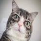Profile image of Winky