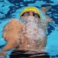 Profile image of Mitch Larkin