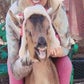 Profile image of Wally Chicago's Favorite Goat