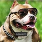 Profile image of Louie Santos