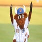 Profile image of Wool E. Bull