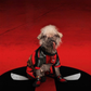Profile image of Peggy The Hairless Pug