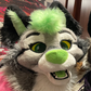 Profile image of Toon Wolf