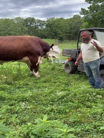Poster for Father's Day video from Rufus The Bull