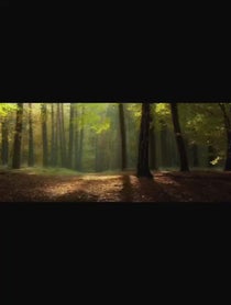 Poster for Birthday video from Paul Rugg