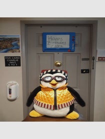 Poster for Birthday video from Your favorite penguin pal