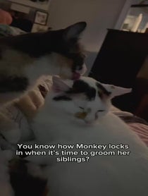 Poster for Pep Talk video from Monkey