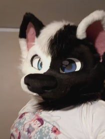 Poster for Pep Talk video from SOLIS THE WOLF