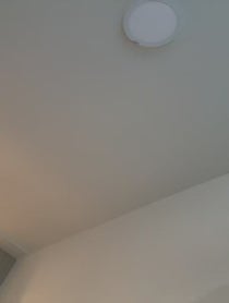 Poster for Holiday video from cer spence / Spencer Goldman