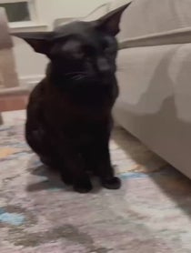 Poster for Birthday video from Evil Larry