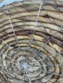 Poster for Birthday video from Anneliese van der Pol