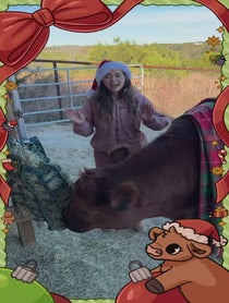 Poster for Holiday video from Alveus Sanctuary