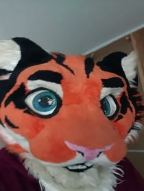Poster for Roast video from Jack Tiger