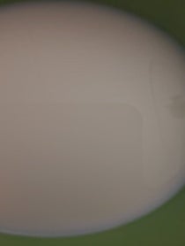 Poster for Birthday video from Milk-Drinking James