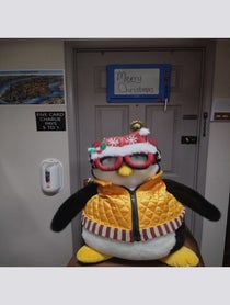Poster for Holiday video from Your favorite penguin pal