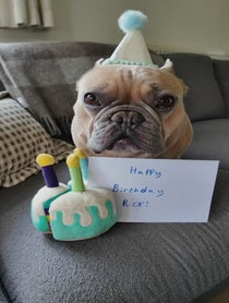 Poster for Birthday video from TJ the Frenchie