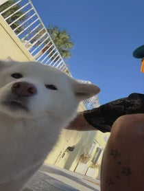 Poster for Holiday video from RiFF RAFF